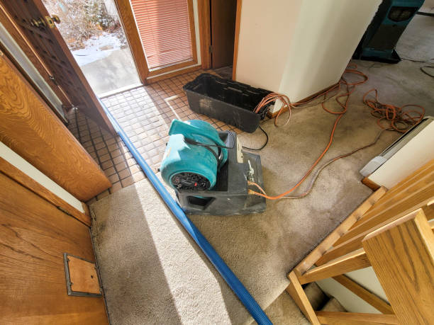 Best Carpet water damage restoration  in Fairfax, OH