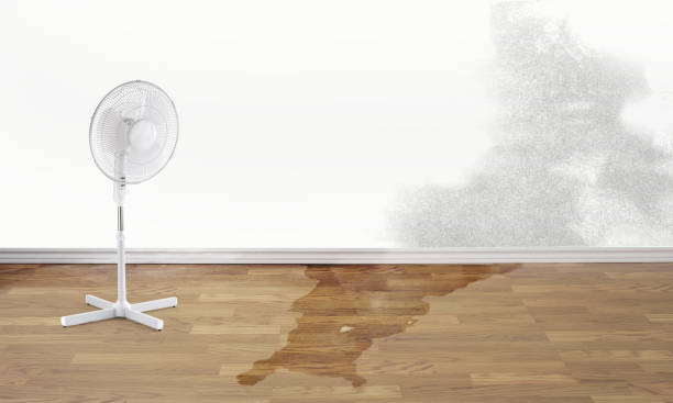 Best Residential water damage restoration  in Fairfax, OH