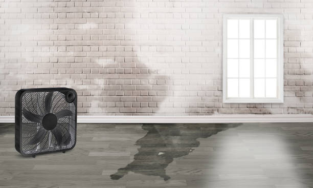 Best Flooded house restoration  in Fairfax, OH