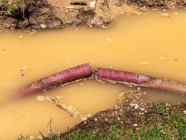 Best Professional water damage repair  in Fairfax, OH